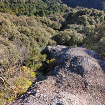 もしか、先の祀られてる所の上辺り？吸い込まれそー！
この岩にも小石ゴロゴロ。セメントでくっつけられたみたいなー。