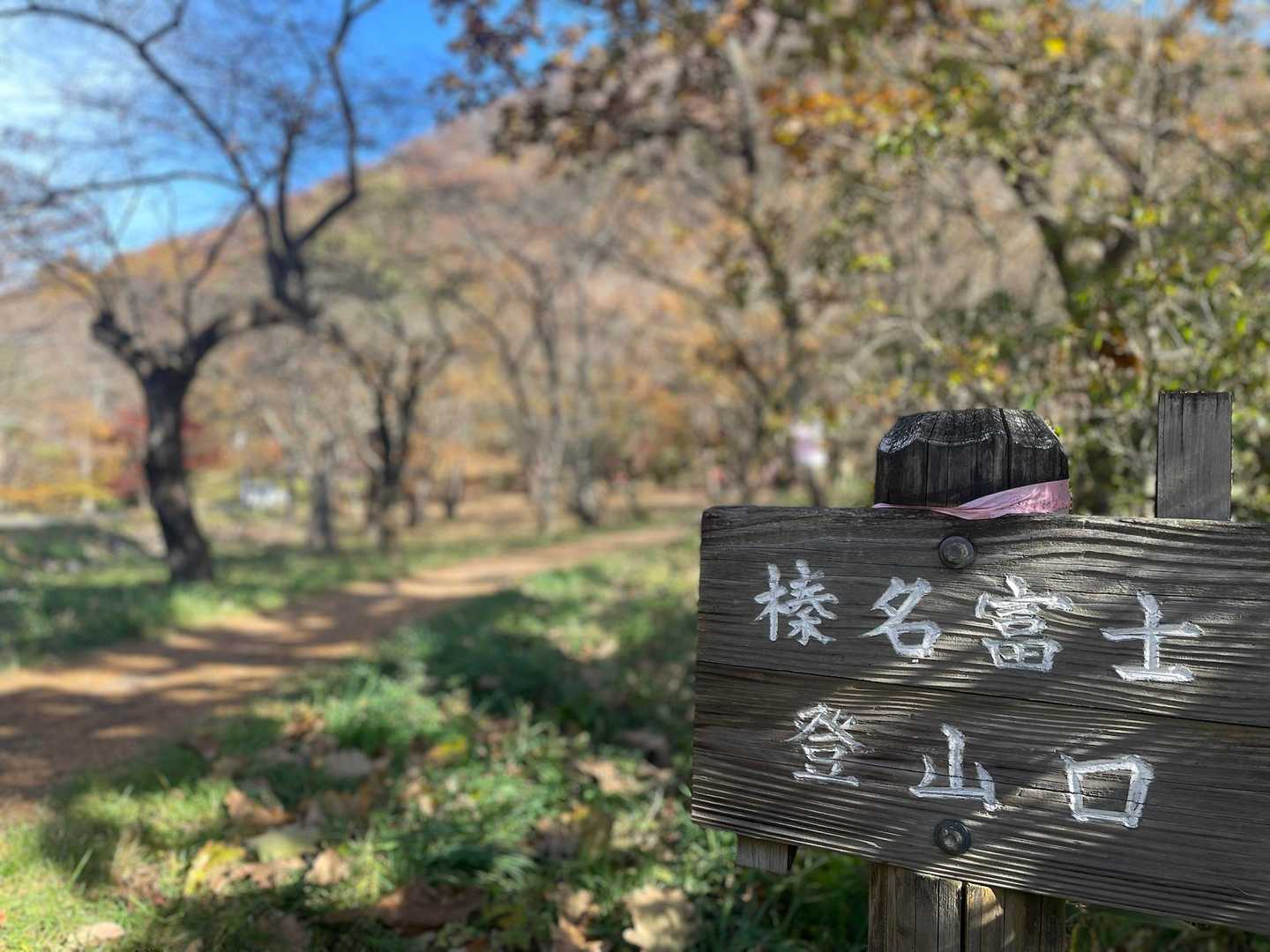 🈁からっと💪