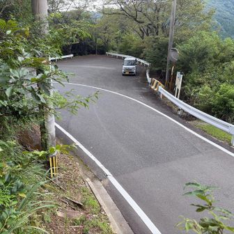 車道近くの登山口近くが藪まみれでしたが無事駐車場まで下山
この直後に雨が降り出して中々の降り方だったのでギリギリ助かりました
誰とも会わないお一人さん堪能の山行でした