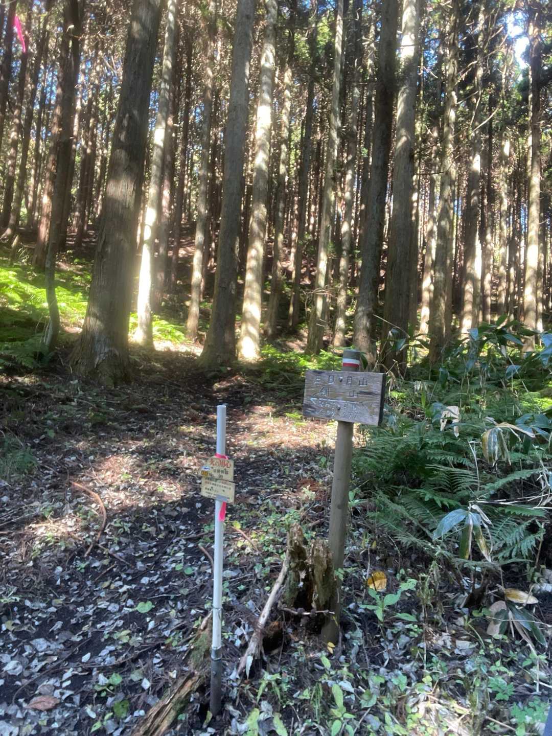 登山口からしばらく林道を登っていくと剣山と三日月山の案内板があります
中国電力の管理道路もかねてるのかな
林道からこの看板の分岐を左に入っていきます