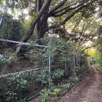 山頂へはいけない様子。