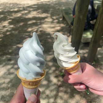 気化熱、うんぬんかんぬん言ってたくせに
ソフトクリーム買いました😶