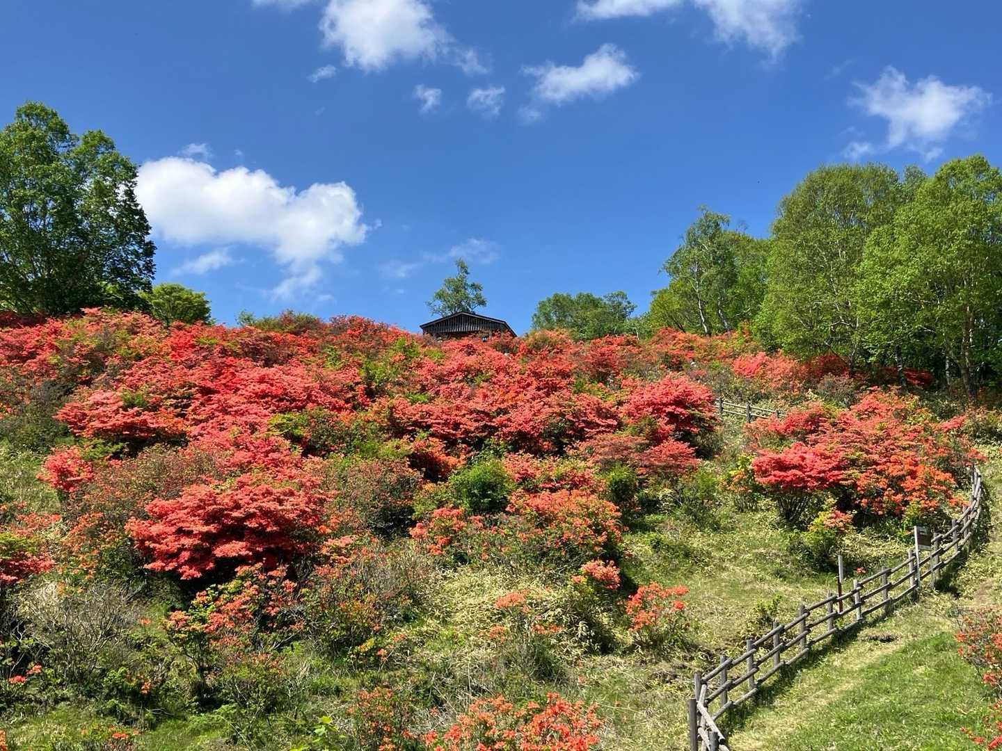 展望台下バス停-見晴山登山口-見晴山 往復コースの写真