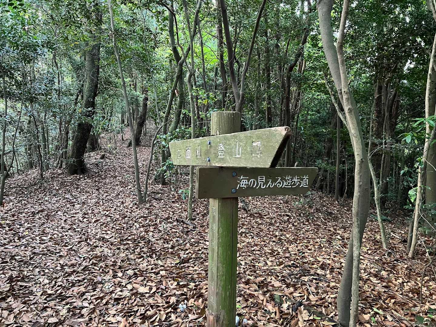 海の見える遊歩道も気になるけど、山頂を目指す🚶
