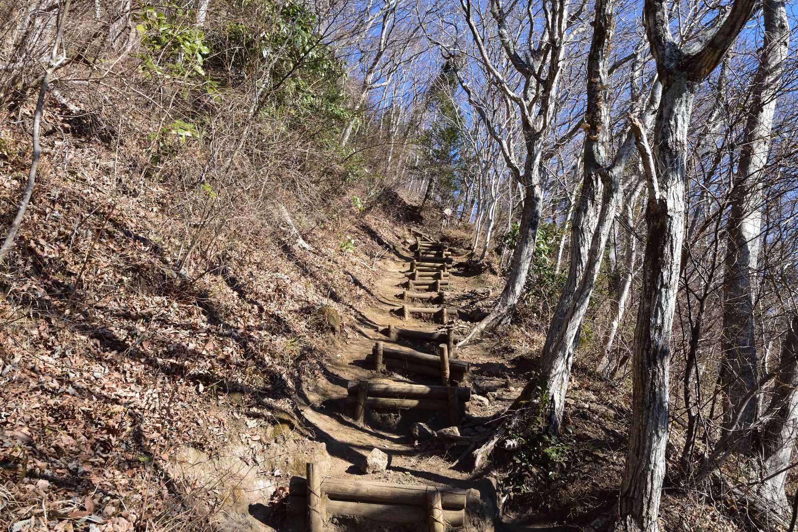 幕山登山口-幕山 周回コースの写真