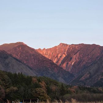 ユーザーまえまえ