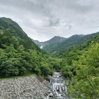 北岳草❀を探しにキタダケ(⁠ ⁠ꈍ⁠ᴗ⁠ꈍ⁠) 2024-6-22 / まき∞の登山