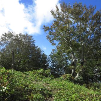 鏡山山頂の様子
三等三角点「鏡山」
