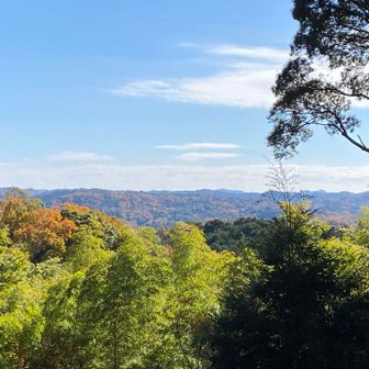 鳥川アルプス方面・額堂山がみえます
左端が本宮山になります