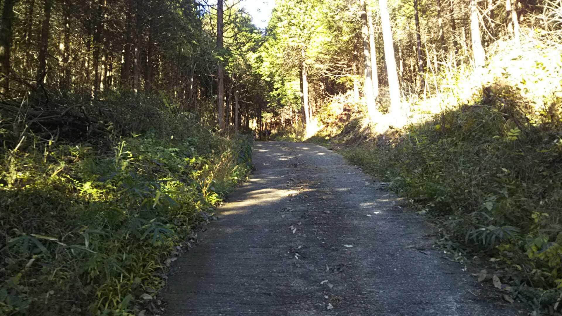 こういう舗装路の斜面が足にくる💦