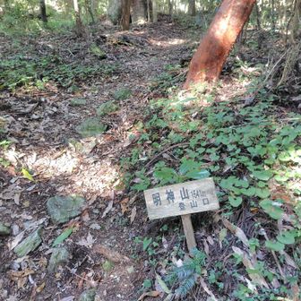 少し下ったとこに案内板。反対側に立派な神社が建ってました。