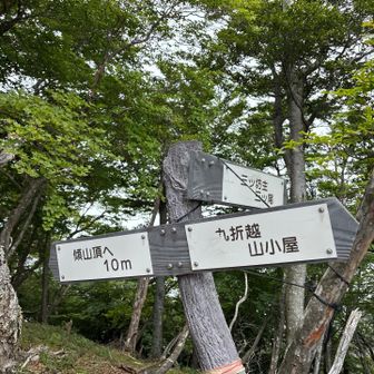 三ツ坊主🧑‍🦲

行きたい様な行きたく無い様な笑笑

キツすぎるんだって笑笑

るいさん、スイスイ登ってたよね笑笑
変態の🍑と🦵欲しい笑笑

🐯さんの昭和感もすこし欲しいかな笑笑
　　後、凄いスピードもやね💪

そうそう🐯さんちょっと天然なので🤏🤭
全く気づかないんだもん笑笑　焦る😓

ひだまり→🌻とかね🤭

よくメンマ穂先の瓶の蓋の文字見たのかな🤭