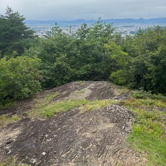 この岩盤露出が岩山の名の由来らしい。