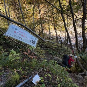厳しい道のりぞ👹
ここは最終水場のすぐ近く
以前は水場にダイレクトに行ける感じに道がついていたようですが、橋が壊れて、新しい道ができていました