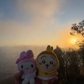 初日の出のぬい撮り。マイメロとうさぎが仲良いです🐰