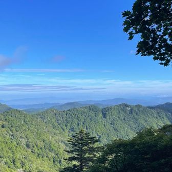 この様に　早い時間は良い天気だった
気持ち爽快！　青い空が　山の緑が