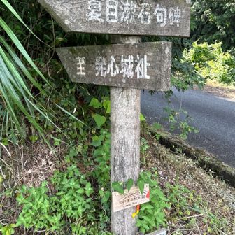 道路に出ます。
登りはこのコースからも行けます。