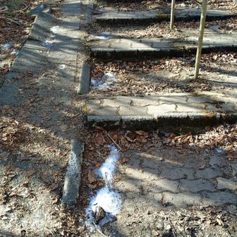 頂上付近にはすこ～しだけ雪が残っています