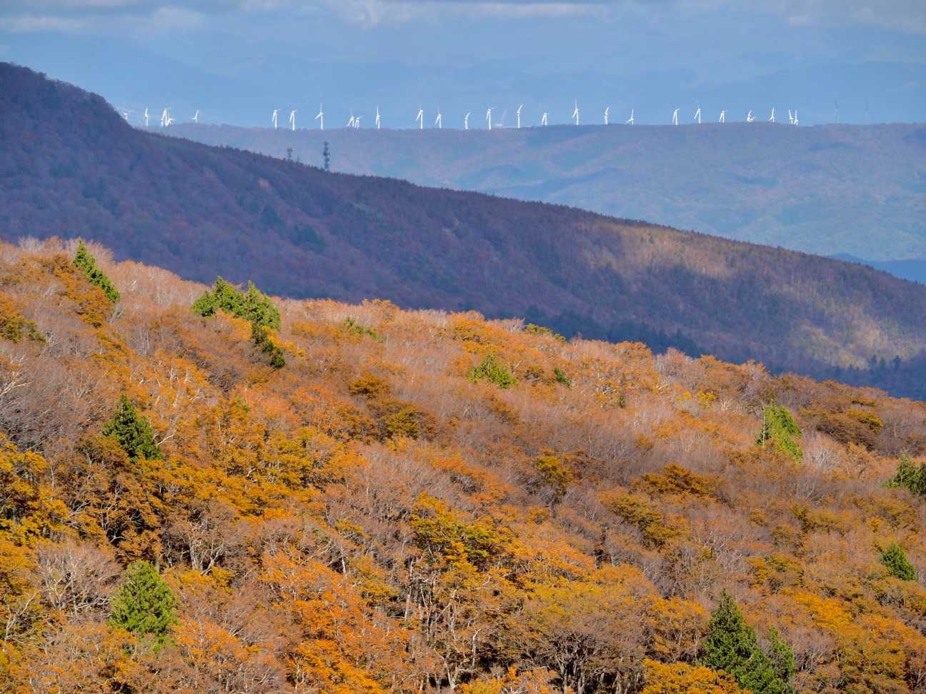 今シーズン、初めて紅葉見れた！
奥は風力発電かな？