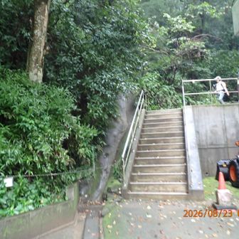 病院駐車場の裏手の階段が登山口