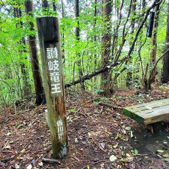 　東峰　讃岐竜王　1,058m
　木々に囲まれ、眺望なし
　三角点なし　（高松市）