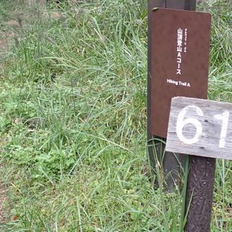 Aコースで中央展望台経由山頂を目指し、ここから入ります
