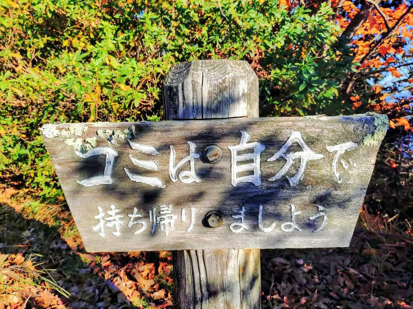 本当にね(｡¯꒳¯｡)