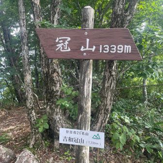 ここは眺望良くない。更に奥へ進む。