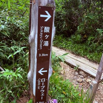 酸ヶ湯方面へ。分岐点