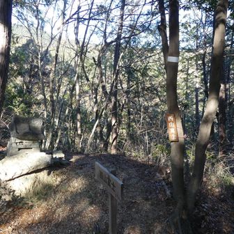 西山富士　到達　麓から見ると形が富士山なのかな？展望なし