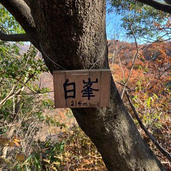 白峯⛰️