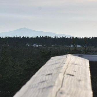 遠く森吉山、ここから見える針葉樹が全て樹氷となる