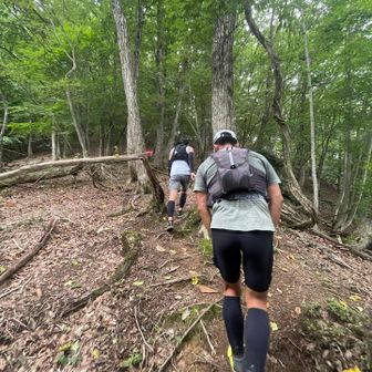 山道突入しますが急斜面、流石に歩きます