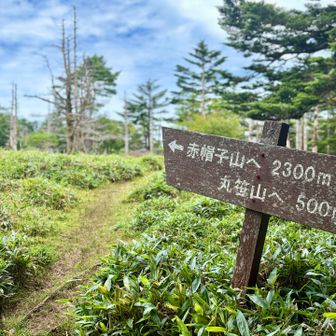 時間がないので赤帽子は次の機会に