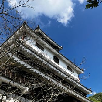 桜？の季節とかいいのかも🌸