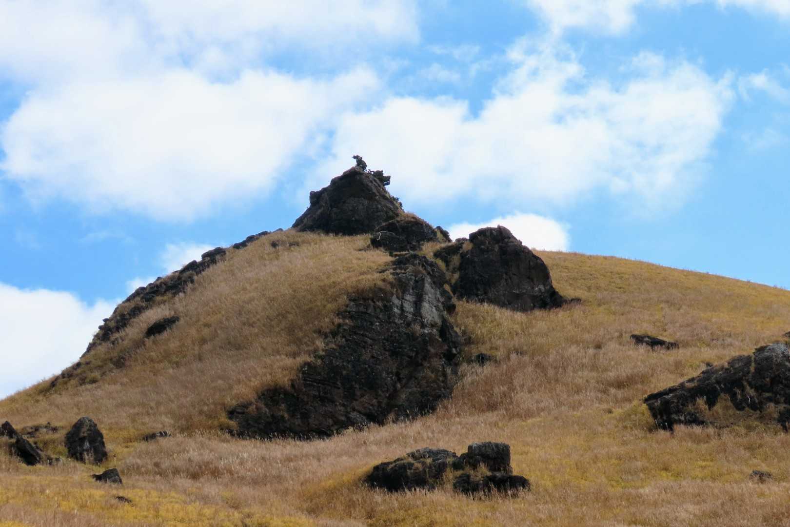 西登山口-由布岳 往復コースの写真