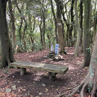 帆柱山山頂488m到着。ここは、木々🌲🌳に、覆われています。