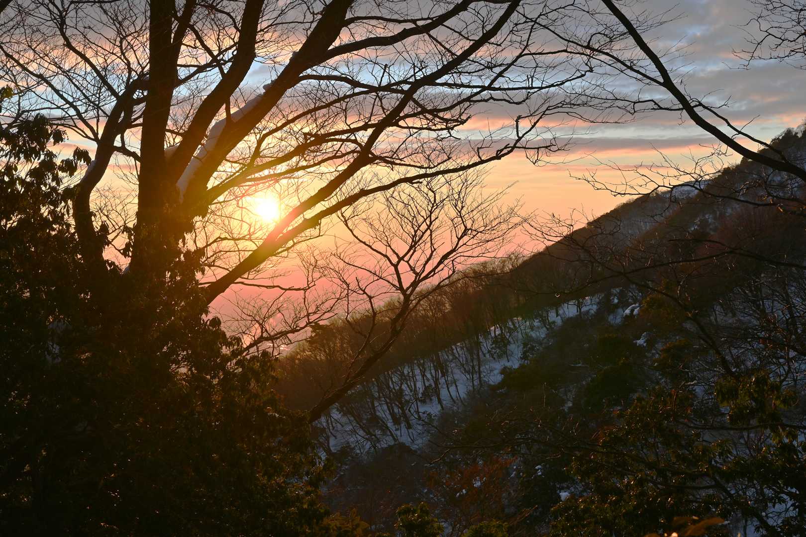 大貝戸コースの写真