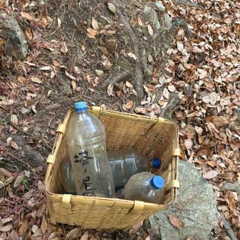 ペットボトルを背負籠に入れて山庵寺まで運びます。

背負籠、とても便利です。😊