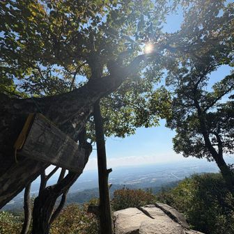気持ちよさそうでしょ！
大岩展望台