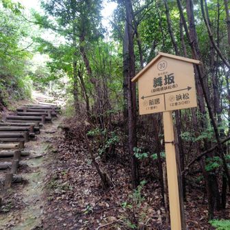 看板はええけど階段が