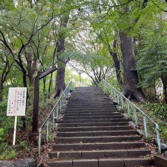 上野恩賜公園からスタートしました。
まずは摺鉢山登頂！