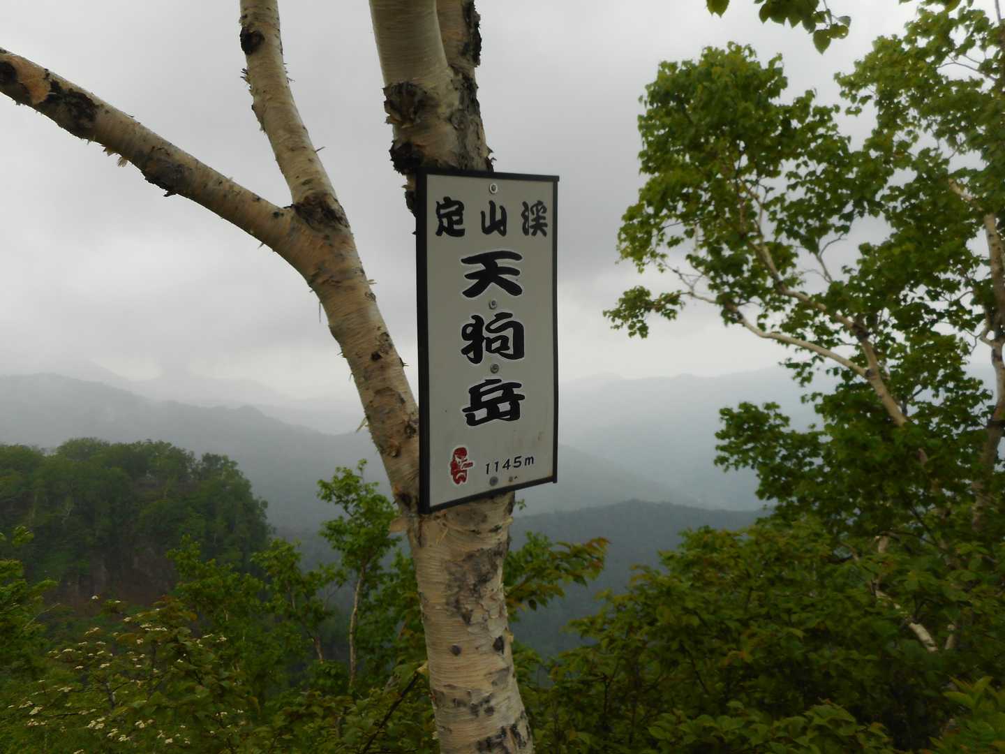 熊ノ沢登山口-定山渓天狗岳 往復コースの写真