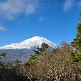 takuzo