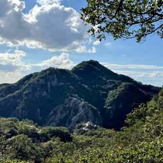 東山から馬の背を