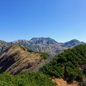 勃て山も