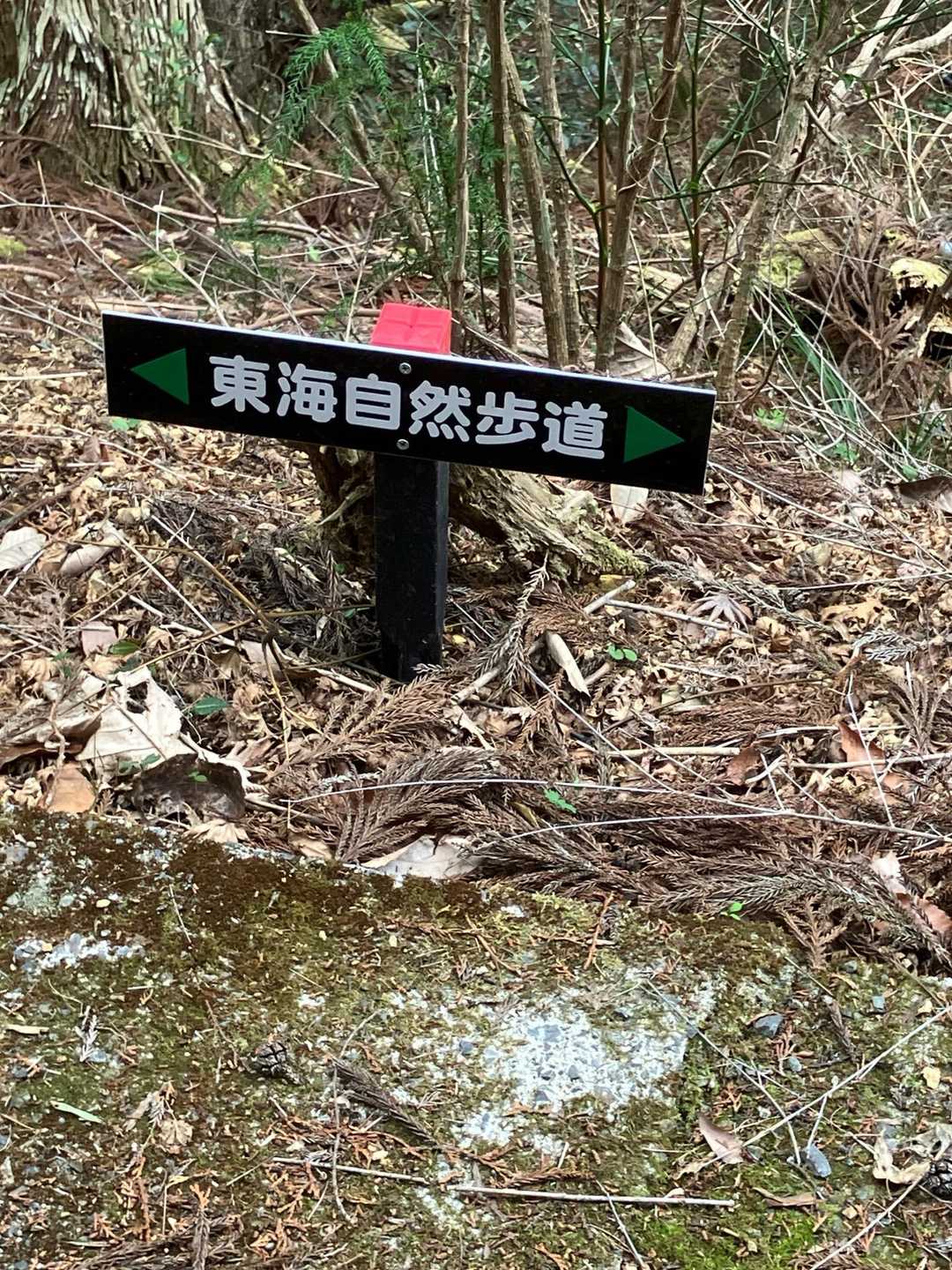 今日歩くルートは東海自然歩道でした♪