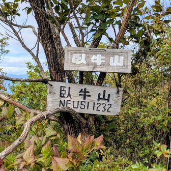 臥牛山（ねうしやま）1年振りの6回目⛰ここでも人に会ったためしなし🤣