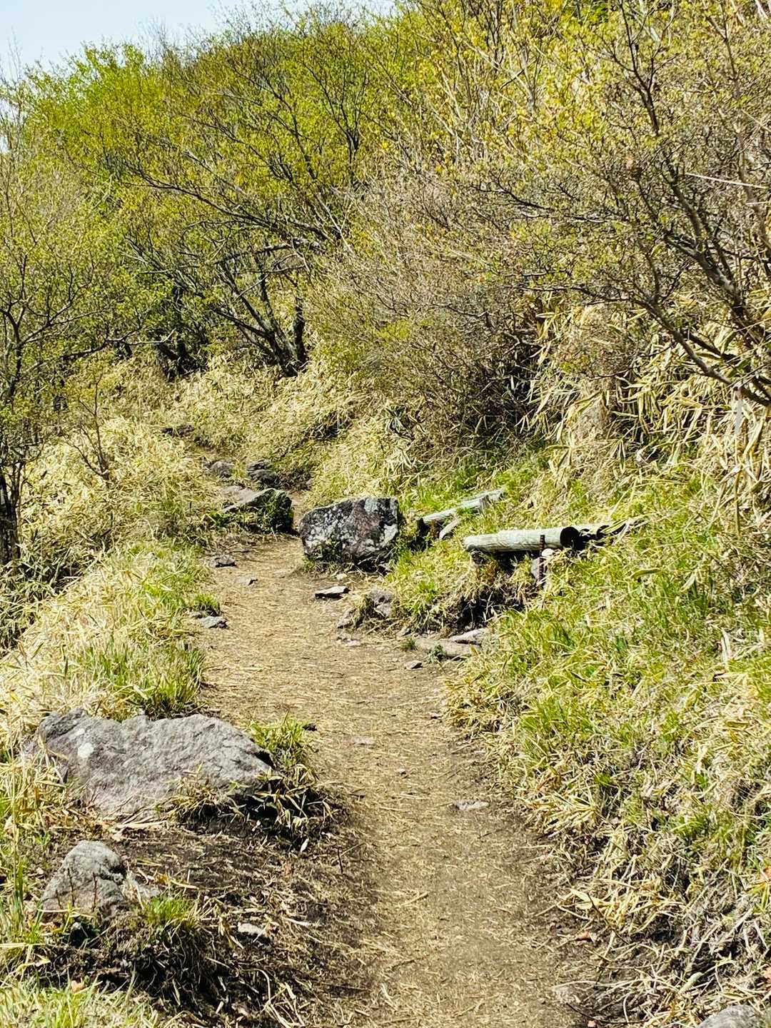 確か、ベンチあったよね！あったあった、陽がさして、額から汗が吹き出し
ヤッケを脱いだら、身体がダリー
