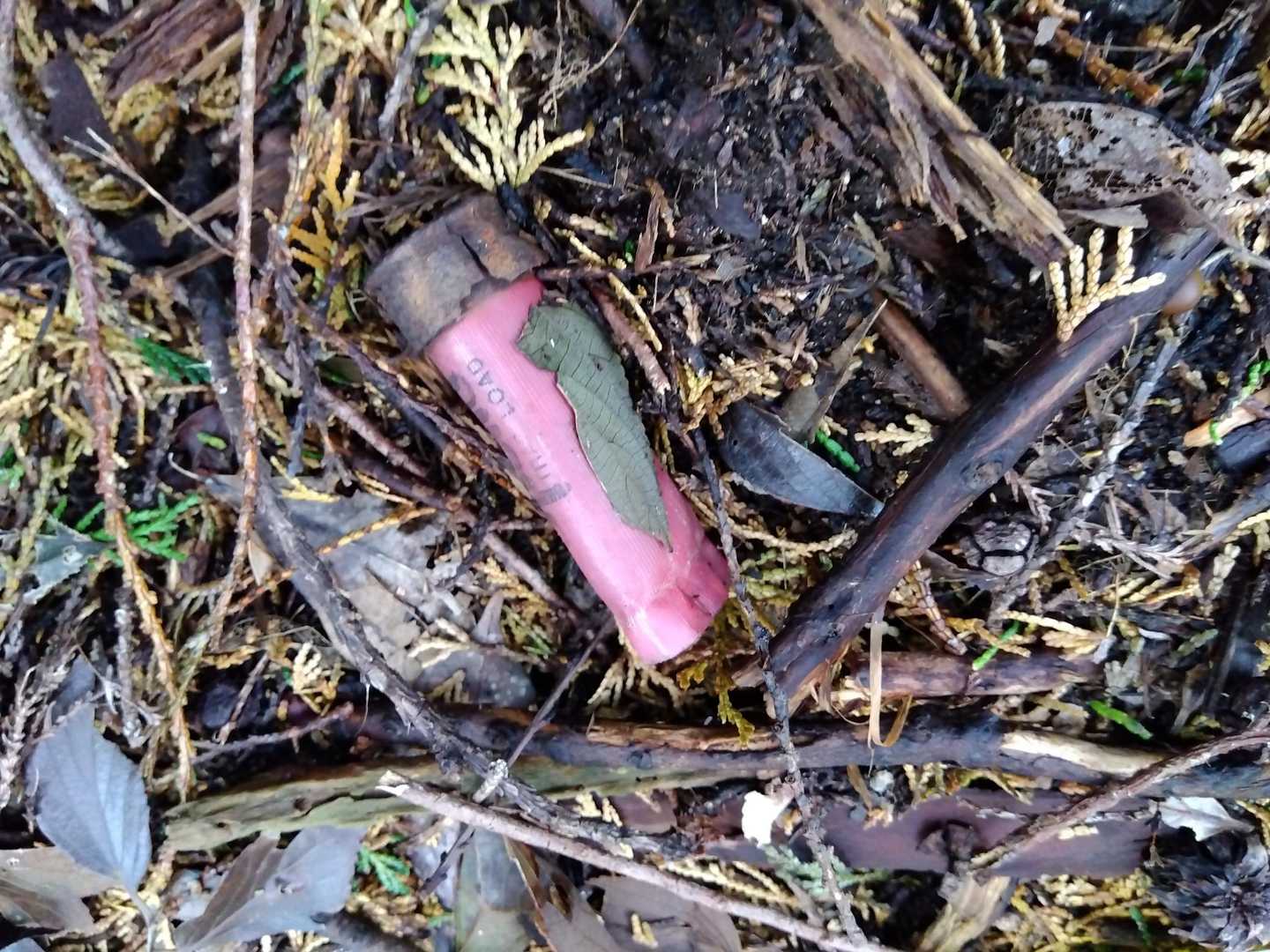 登山道に猟銃の薬莢が落ちていました。
狩猟をされているようで、猪と間違えて撃たれたらいやだと思って、湿度が高いのに無駄に咳払いをしながら歩きました。